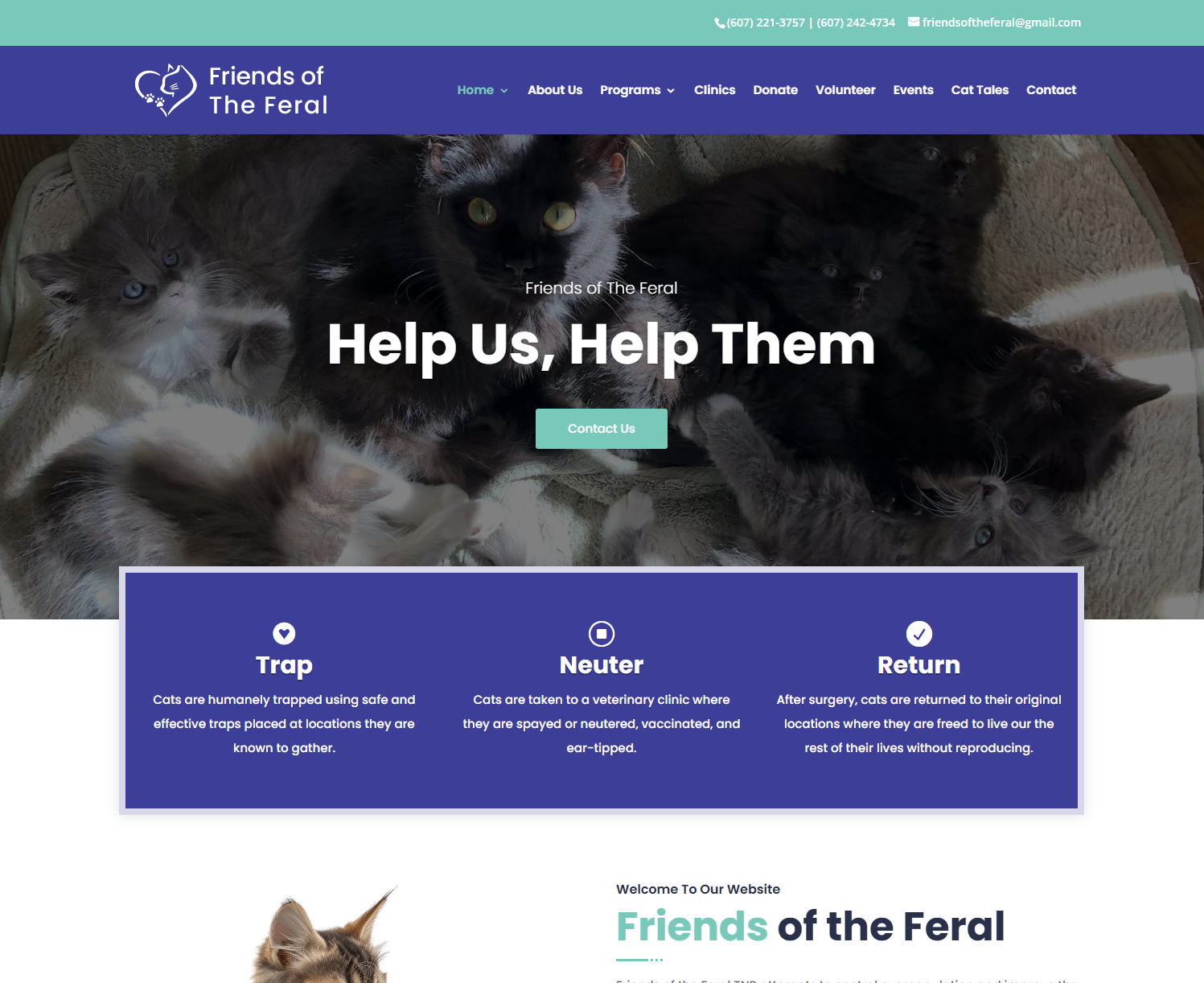 Friends of the Feral friendsoftheferal_img